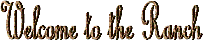 Welcome to the Ranch